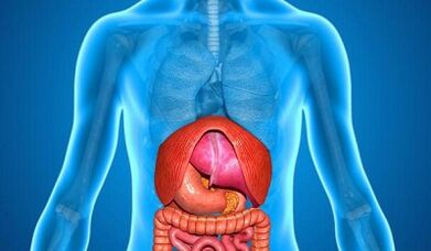 Diseases that cause lower pain
